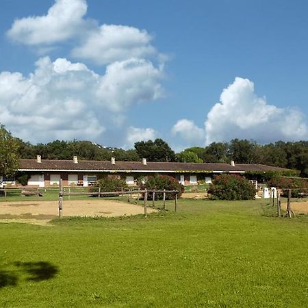 Хостел Residential Horse Club Costa Brava Санта-Крістіна-д'Ару Номер фото
